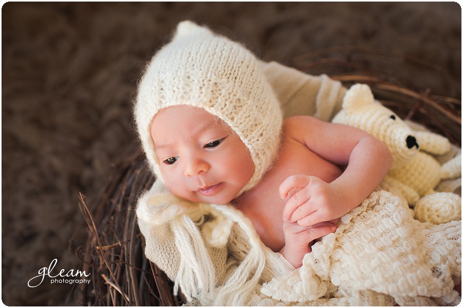 North Shore newborn photographer