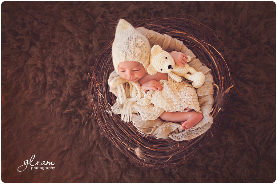 Chicago newborn photographer