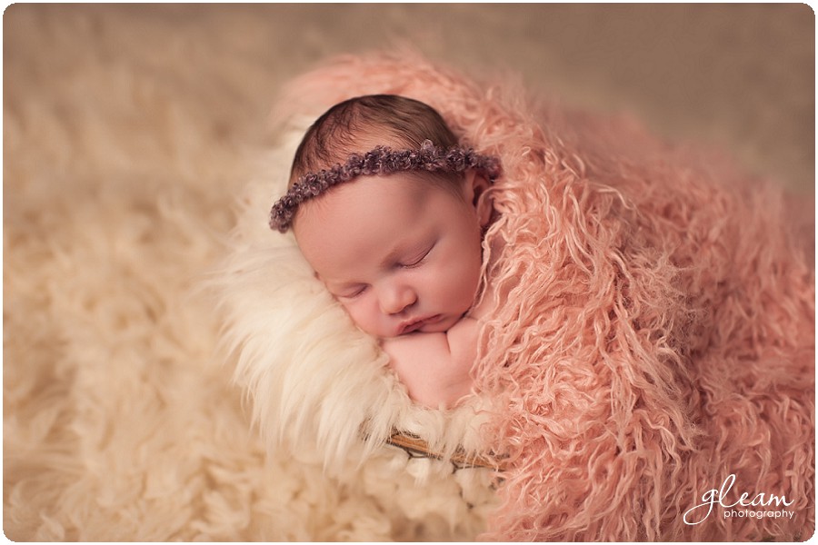 Newborn photography Cook County IL