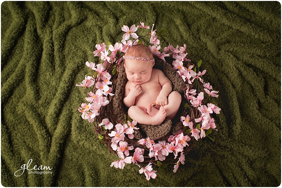 North shore newborn photographer