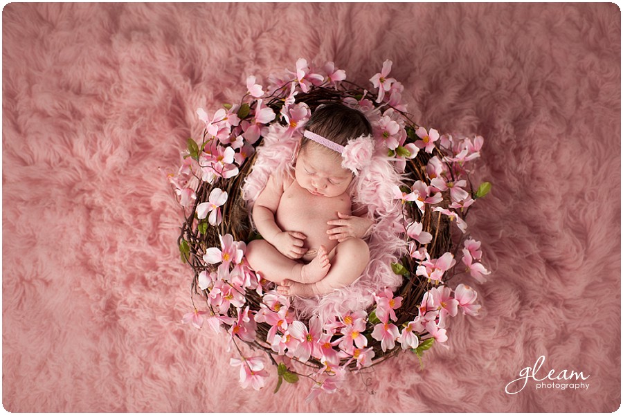 Chicago Newborn Photographer