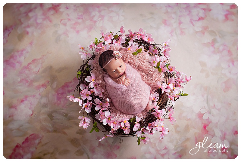 North Shore IL newborn photographer