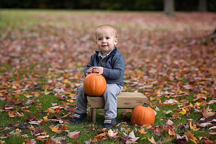 Baby boy sitting on a small stool and holding a pumpkin, fallen leaves all around