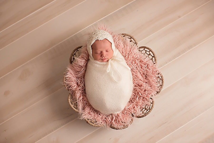 Studio newborn baby portrait
